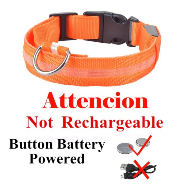 Colar recarregável USB para cachorro de estimação LED brilhante e piscante  [suprimentos de segurança] - Image 7