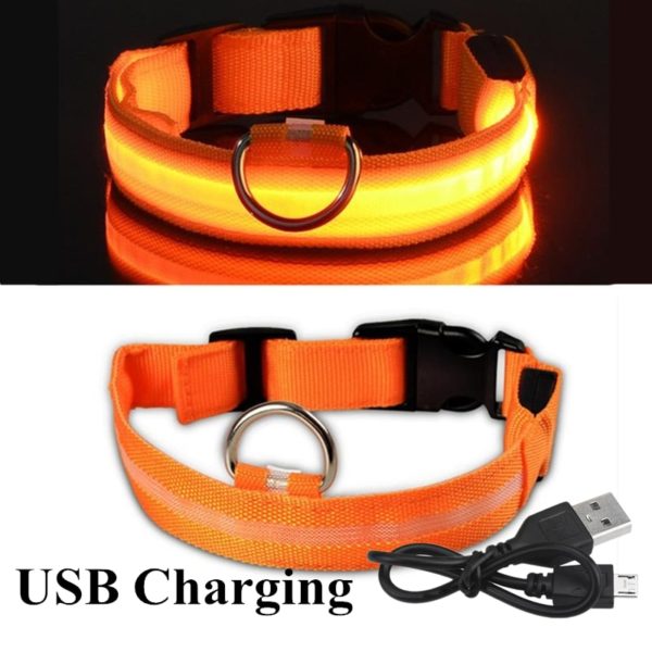 Colar recarregável USB para cachorro de estimação LED brilhante e piscante  [suprimentos de segurança] - Image 5