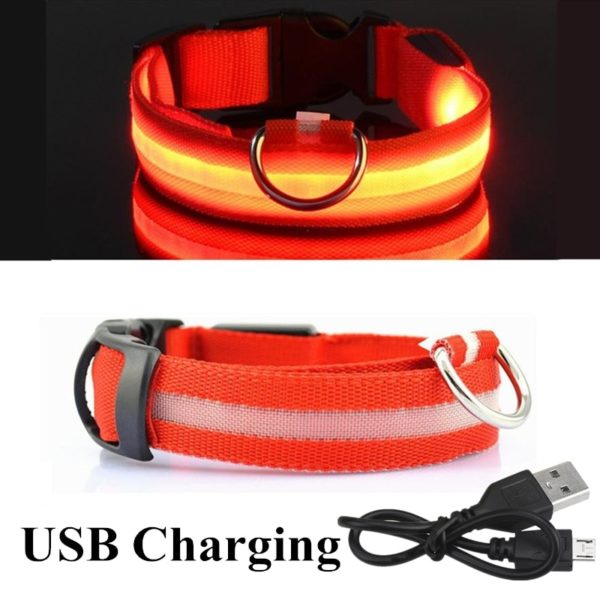 Colar recarregável USB para cachorro de estimação LED brilhante e piscante  [suprimentos de segurança] - Image 16