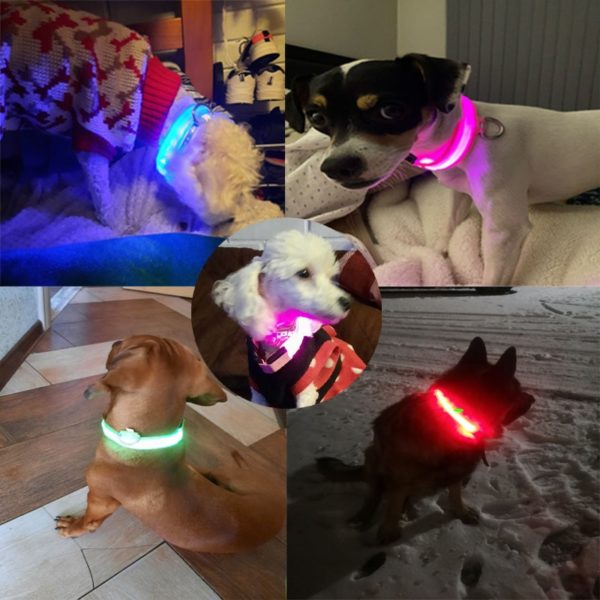 Colar recarregável USB para cachorro de estimação LED brilhante e piscante  [suprimentos de segurança] - Image 13