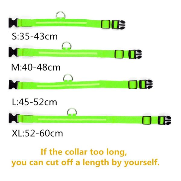 Colar recarregável USB para cachorro de estimação LED brilhante e piscante  [suprimentos de segurança] - Image 10