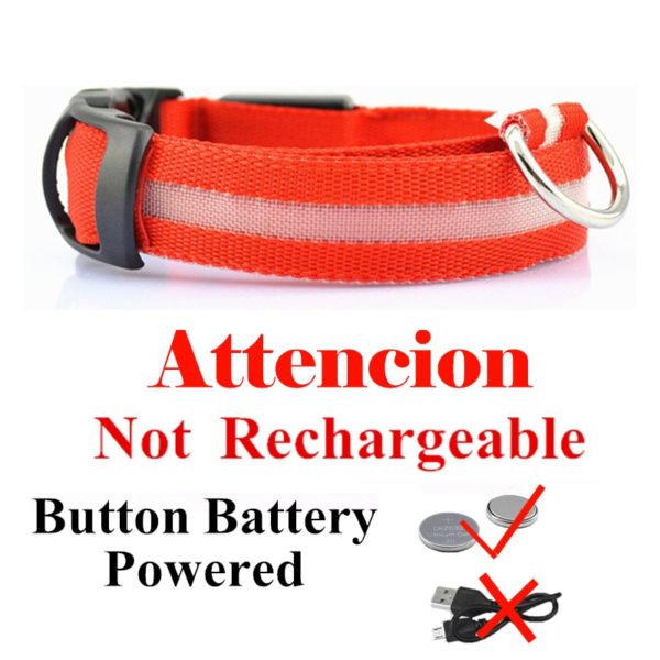 Colar recarregável USB para cachorro de estimação LED brilhante e piscante  [suprimentos de segurança] - Image 2
