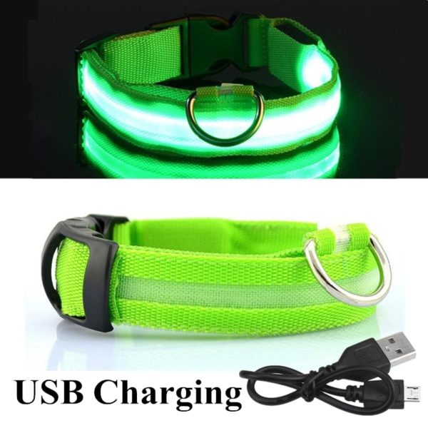 Colar recarregável USB para cachorro de estimação LED brilhante e piscante  [suprimentos de segurança] - Image 17