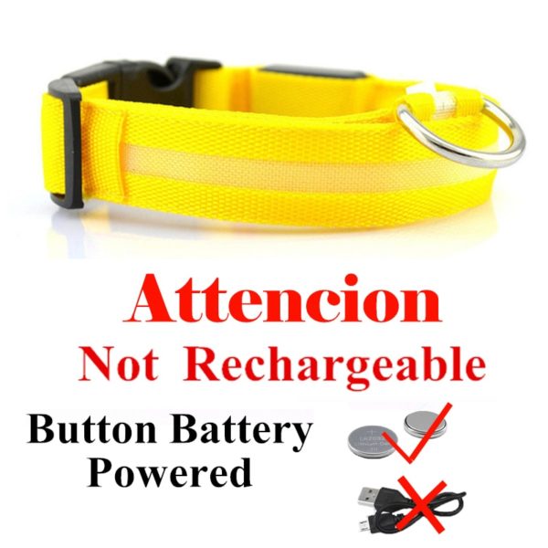 Colar recarregável USB para cachorro de estimação LED brilhante e piscante  [suprimentos de segurança] - Image 9
