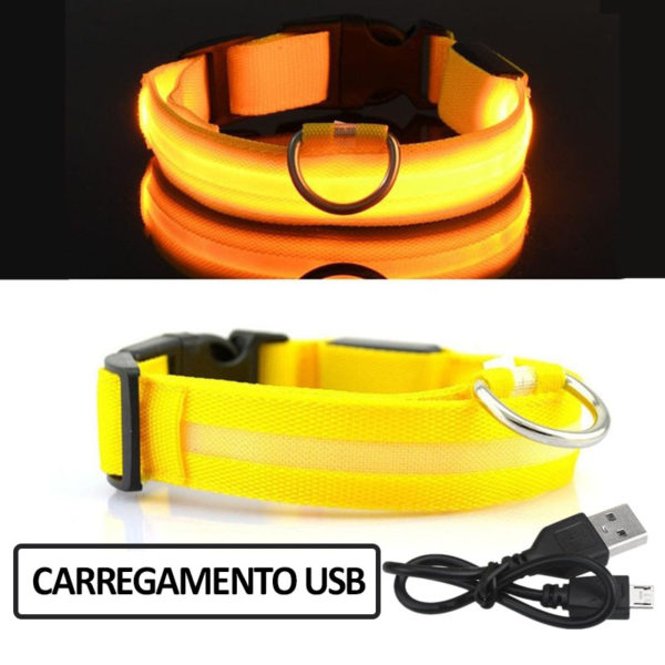 Colar recarregável USB para cachorro de estimação LED brilhante e piscante  [suprimentos de segurança] - Image 3